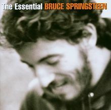The essential bruce - the,
