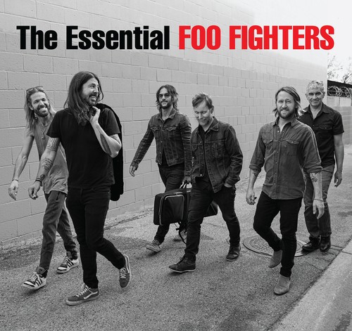 Foo fighters the - foo,